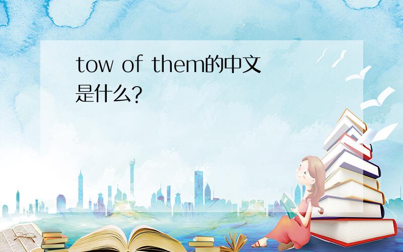 tow of them的中文是什么?