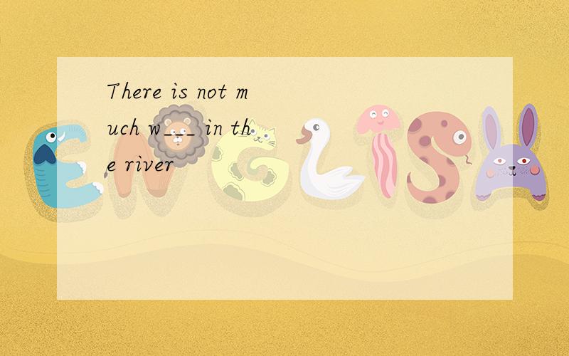 There is not much w___ in the river