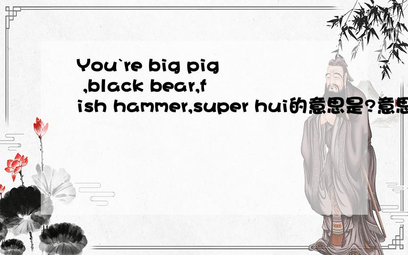 You`re big pig ,black bear,fish hammer,super hui的意思是?意思是什么啊?