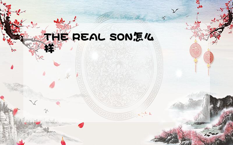THE REAL SON怎么样