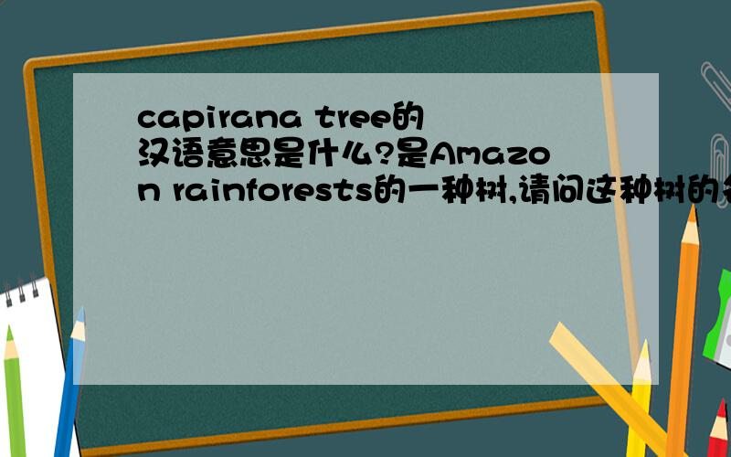 capirana tree的汉语意思是什么?是Amazon rainforests的一种树,请问这种树的名称.词典上怎么查不到?