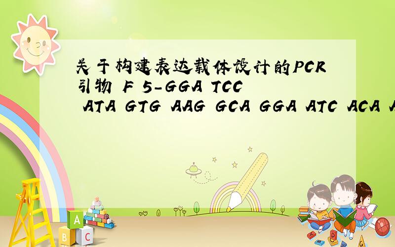 关于构建表达载体设计的PCR引物 F 5-GGA TCC ATA GTG AAG GCA GGA ATC ACA ATC-3、R 5-GCT CTT AGG CCA CAT GGT ,引物含BamHI/XbaI酶切位点,P了DNA沉淀之后,将其连接到含EcoRI  的pCRTM 2.1 上,再用BamHI/XbaI酶切后连接到