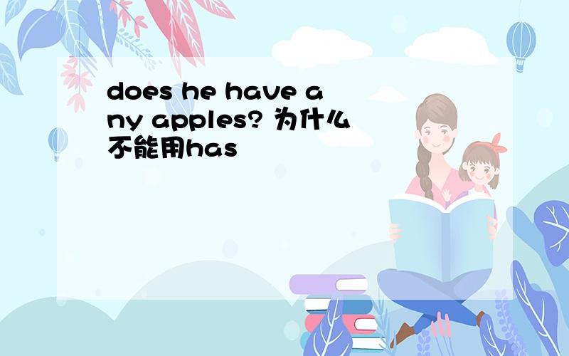 does he have any apples? 为什么不能用has