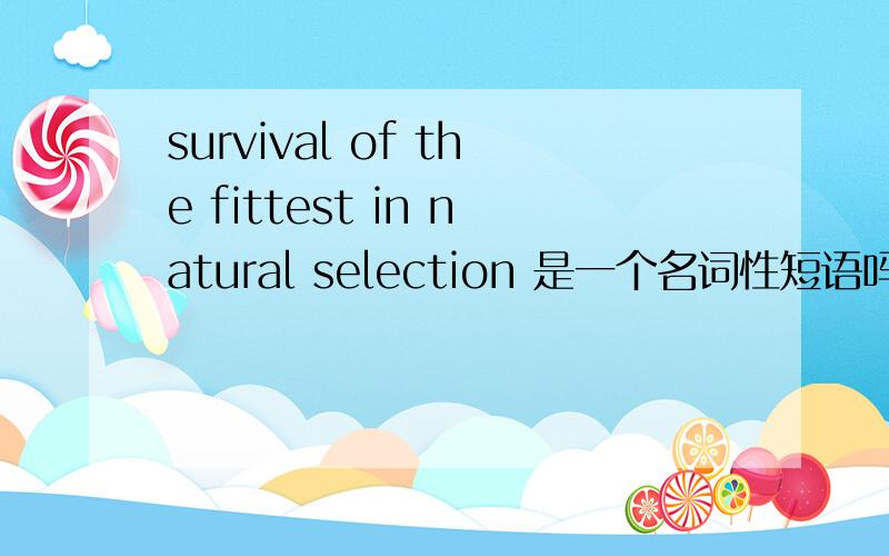 survival of the fittest in natural selection 是一个名词性短语吗
