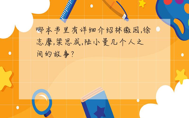 哪本书里有详细介绍林徽因,徐志摩,梁思成,陆小曼几个人之间的故事?