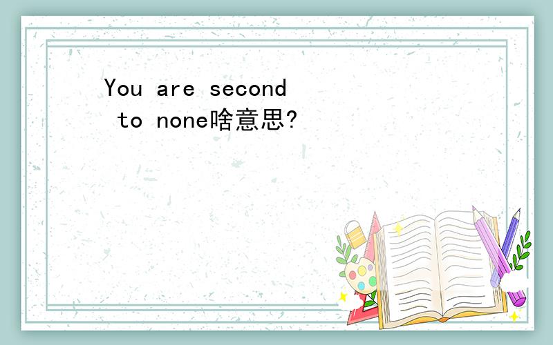 You are second to none啥意思?