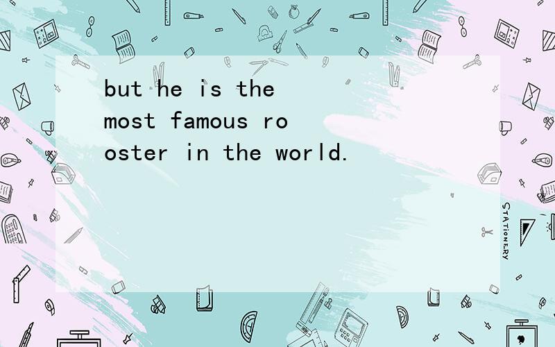 but he is the most famous rooster in the world.