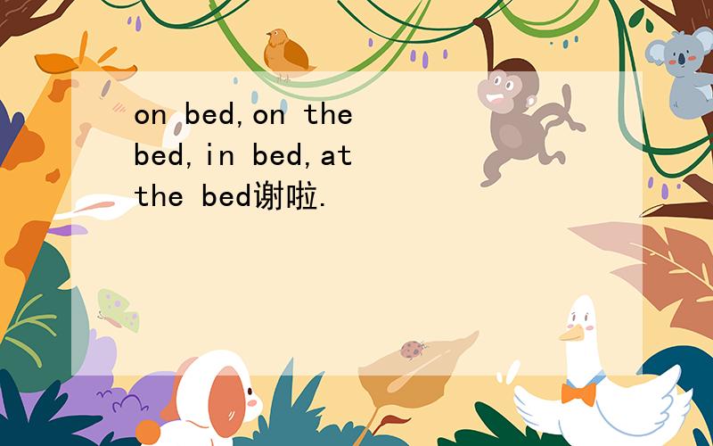 on bed,on the bed,in bed,at the bed谢啦.