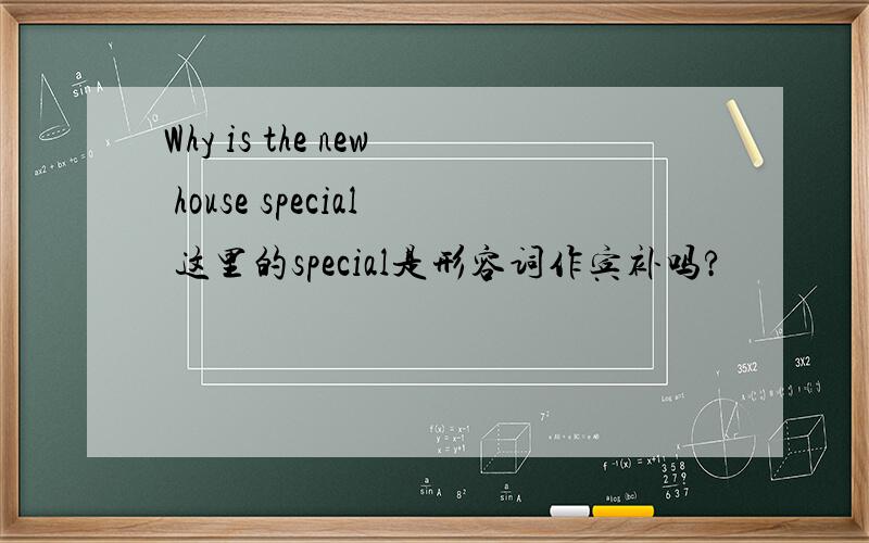 Why is the new house special 这里的special是形容词作宾补吗?