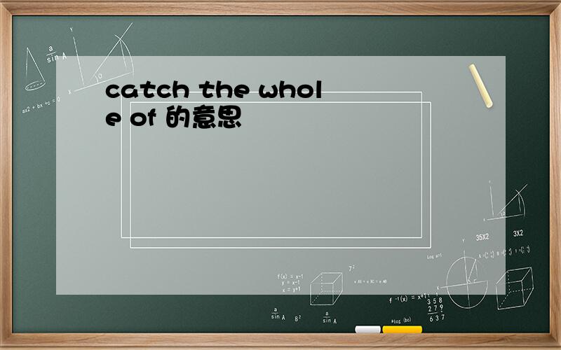 catch the whole of 的意思