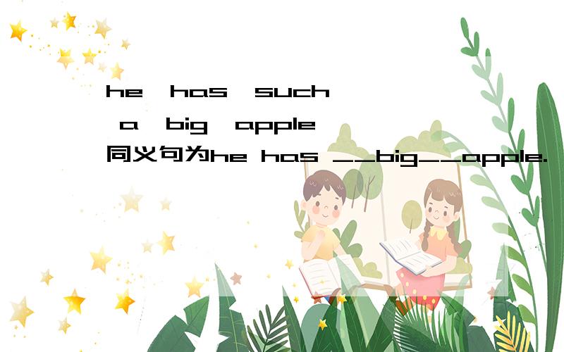 he  has  such  a  big  apple同义句为he has __big__apple.