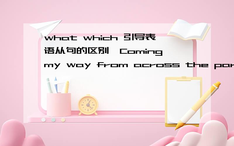 what which 引导表语从句的区别,Coming my way from across the parking lot was ____ society would consider a bum这里为什么要填what而不是which?他们不是都可以引导表语从句吗?有什么区别?