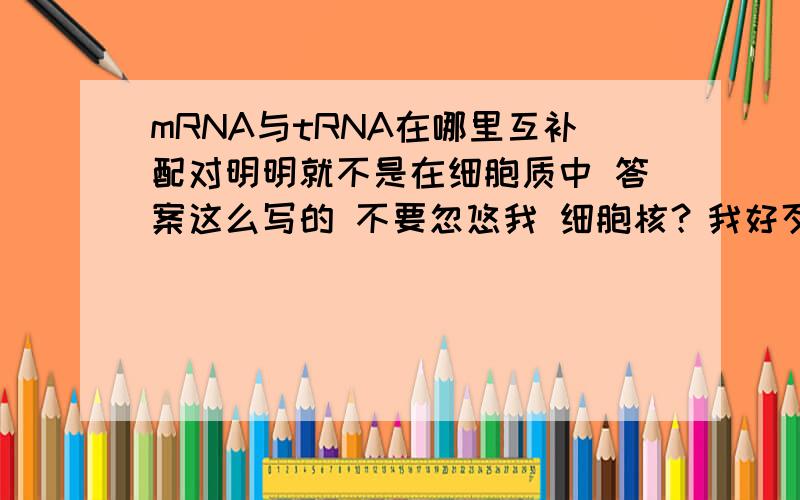 mRNA与tRNA在哪里互补配对明明就不是在细胞质中 答案这么写的 不要忽悠我 细胞核？我好歹不是那种不听课的啊再补充 核糖体为RNA 分大亚基、小亚基 怎么可以说是核糖体呢？顺便告诉你们