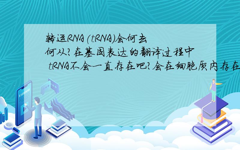 转运RNA(tRNA)会何去何从?在基因表达的翻译过程中 tRNA不会一直存在吧?会在细胞质内存在多久,再到何处去?在哪里分解?