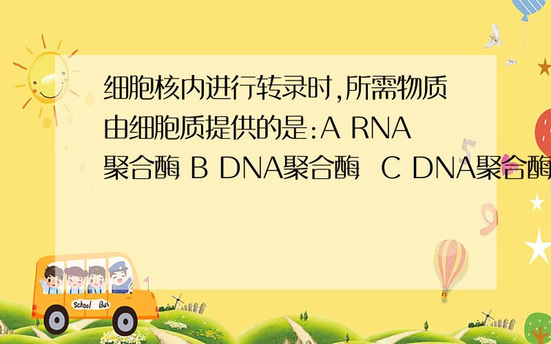 细胞核内进行转录时,所需物质由细胞质提供的是:A RNA聚合酶 B DNA聚合酶  C DNA聚合酶  D 解旋酶   为什么选A  ,不选  D