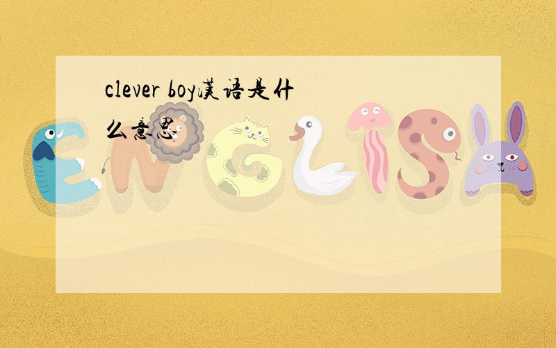 clever boy汉语是什么意思