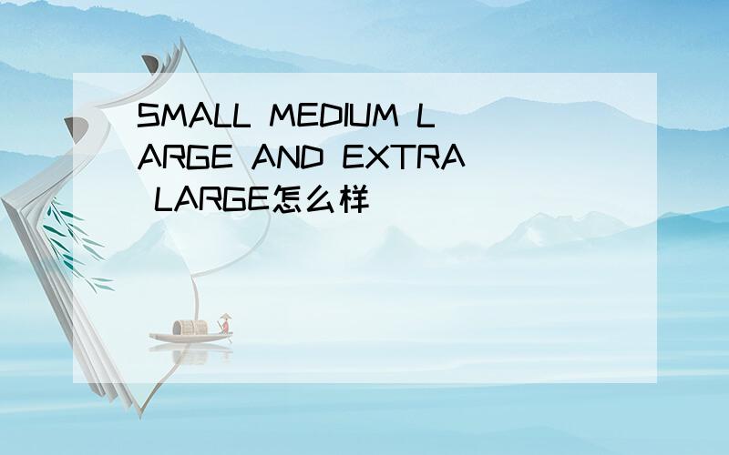 SMALL MEDIUM LARGE AND EXTRA LARGE怎么样