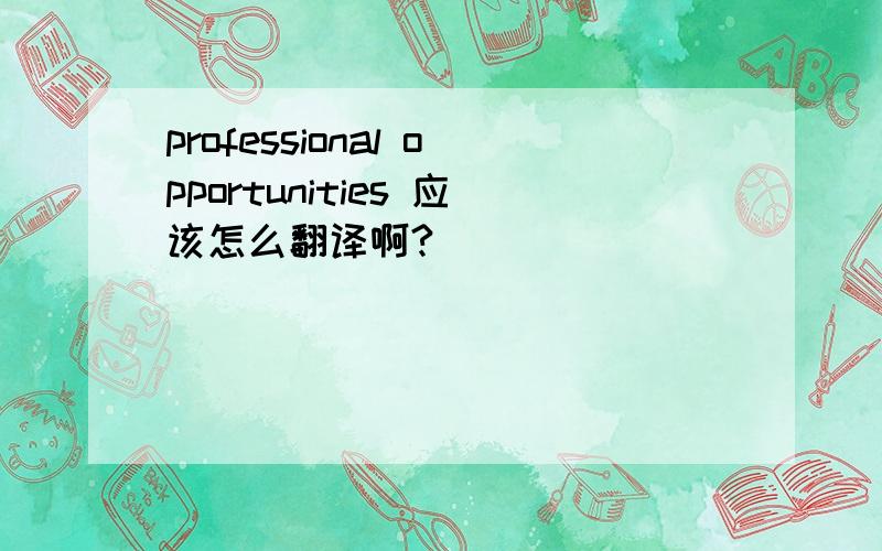 professional opportunities 应该怎么翻译啊?