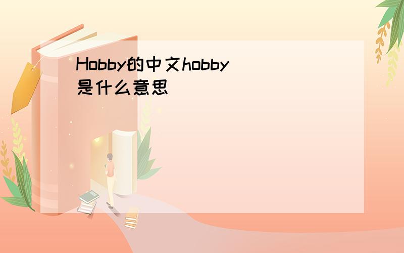 Hobby的中文hobby 是什么意思