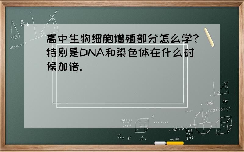 高中生物细胞增殖部分怎么学?特别是DNA和染色体在什么时候加倍.