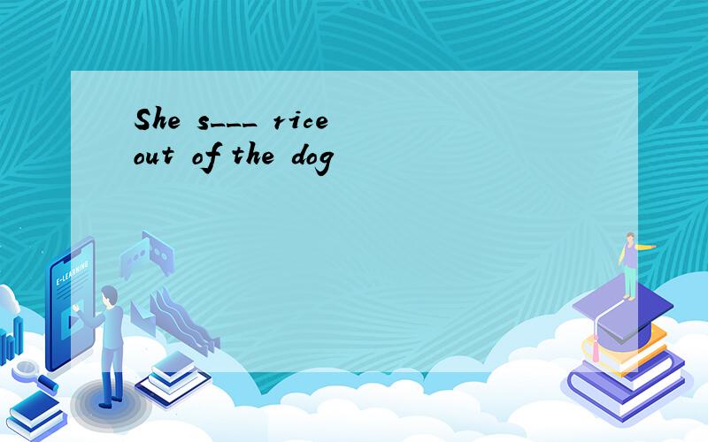 She s___ rice out of the dog