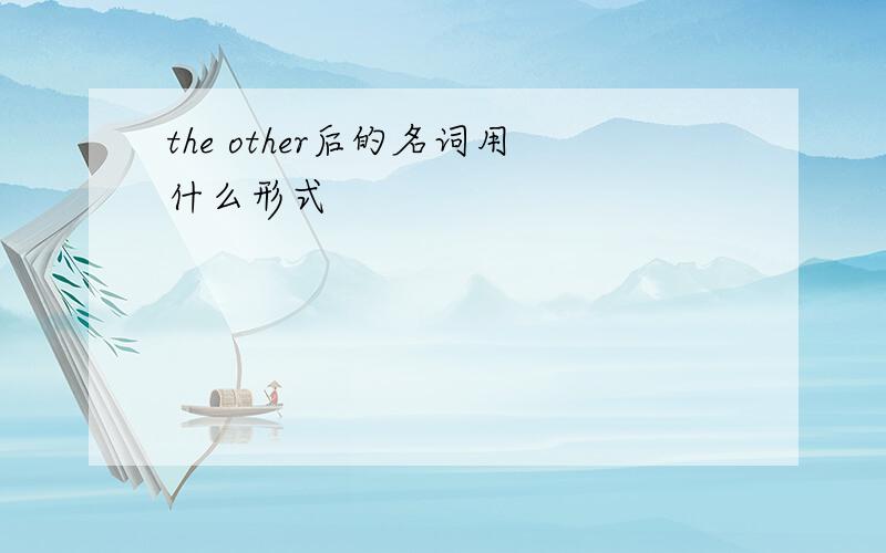 the other后的名词用什么形式