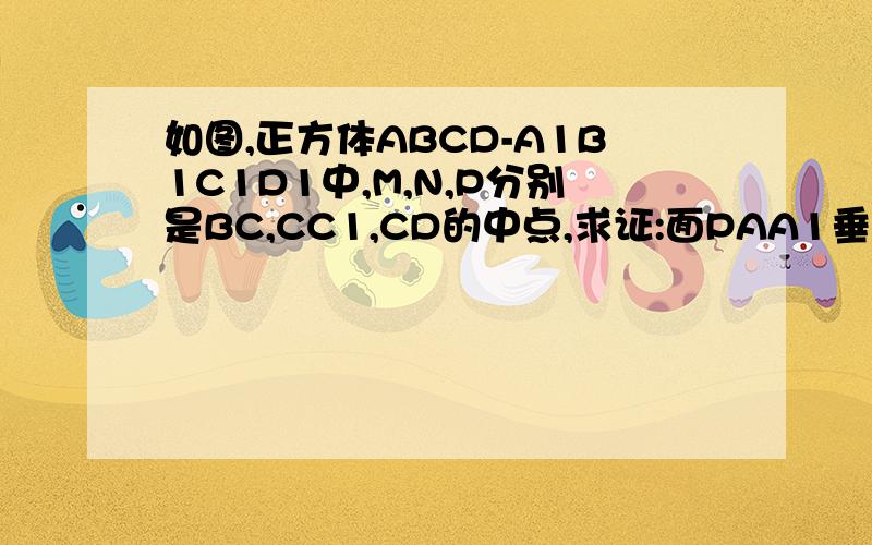 如图,正方体ABCD-A1B1C1D1中,M,N,P分别是BC,CC1,CD的中点,求证:面PAA1垂直面MND