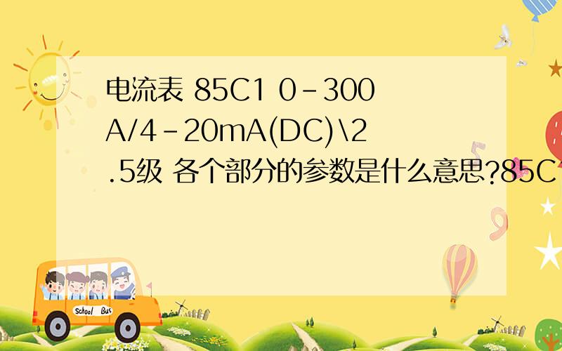 电流表 85C1 0-300A/4-20mA(DC)\2.5级 各个部分的参数是什么意思?85C1、（DC）、2.5级