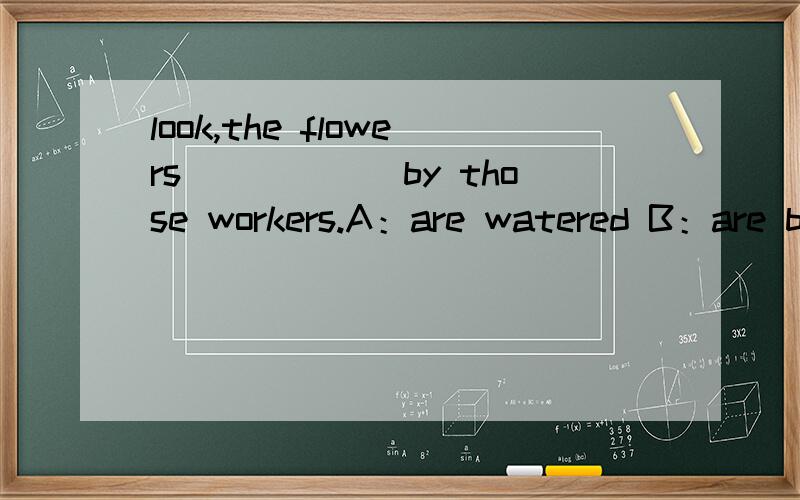 look,the flowers______by those workers.A：are watered B：are being watered C：are wateringD：are going to water