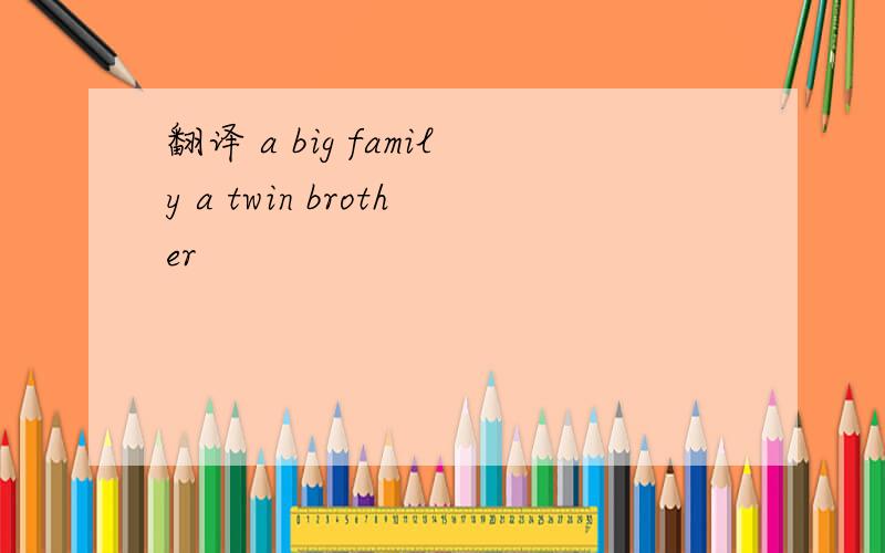 翻译 a big family a twin brother