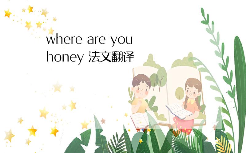 where are you honey 法文翻译