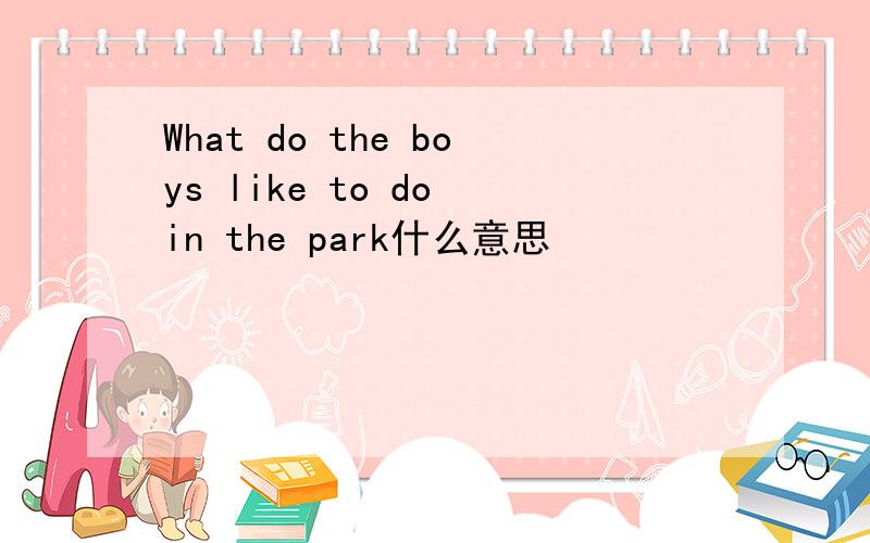 What do the boys like to do in the park什么意思