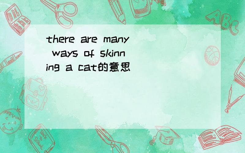 there are many ways of skinning a cat的意思