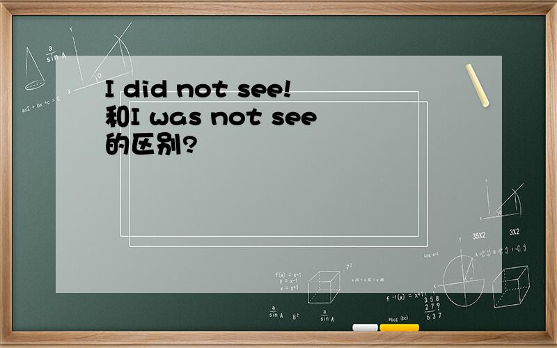 I did not see!和I was not see的区别?
