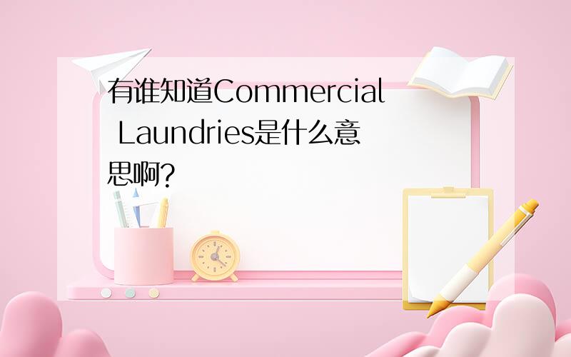 有谁知道Commercial Laundries是什么意思啊?