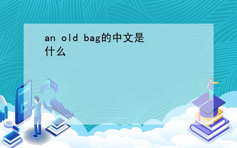 an old bag的中文是什么