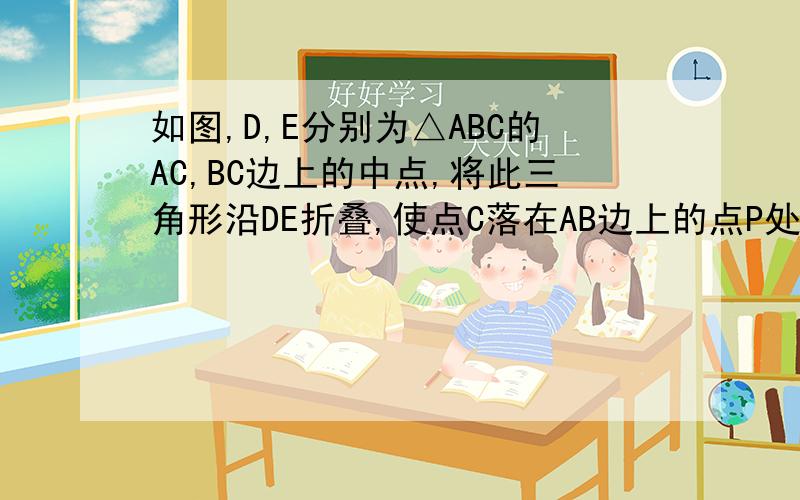如图,D,E分别为△ABC的AC,BC边上的中点,将此三角形沿DE折叠,使点C落在AB边上的点P处.（1）若∠A=48°,求∠ADP和∠CDE的度数.（2）你还能得出什么结论?（至少写出两个,不要求说明理由）