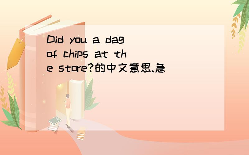Did you a dag of chips at the store?的中文意思.急