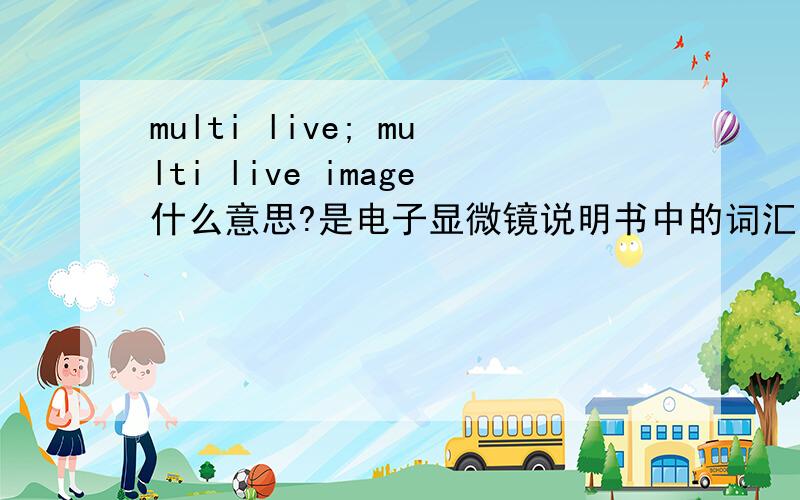 multi live; multi live image什么意思?是电子显微镜说明书中的词汇