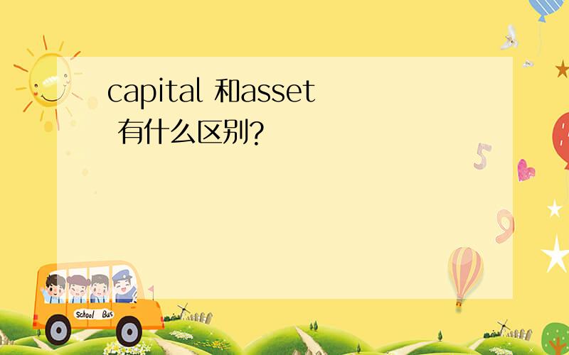 capital 和asset 有什么区别?