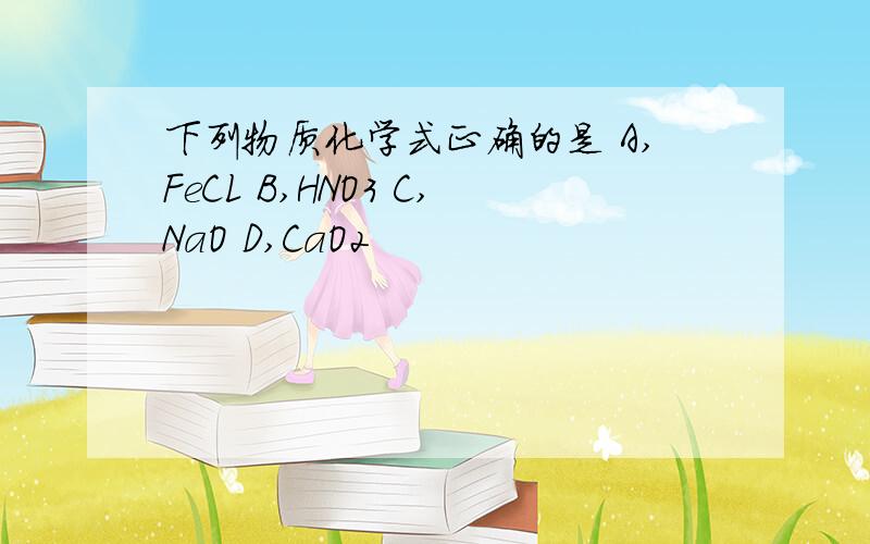 下列物质化学式正确的是 A,FeCL B,HNO3 C,NaO D,CaO2