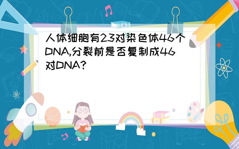 人体细胞有23对染色体46个DNA,分裂前是否复制成46对DNA?