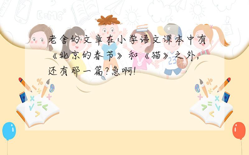 老舍的文章在小学语文课本中有《北京的春节》和《猫》之外,还有那一篇?急啊!