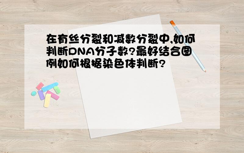 在有丝分裂和减数分裂中,如何判断DNA分子数?最好结合图例如何根据染色体判断?