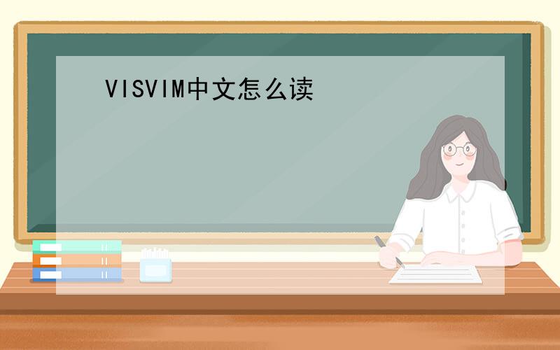 VISVIM中文怎么读
