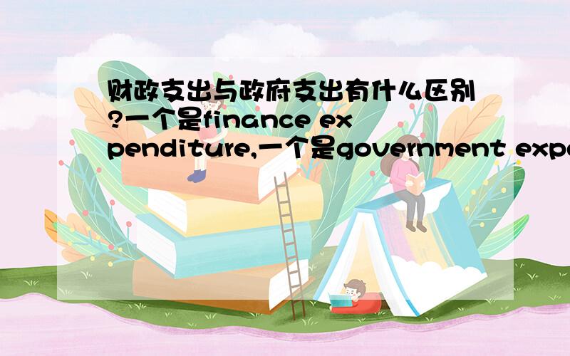 财政支出与政府支出有什么区别?一个是finance expenditure,一个是government expenditure~RT.求助.
