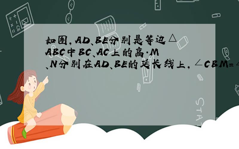 如图,AD、BE分别是等边△ABC中BC、AC上的高．M、N分别在AD、BE的延长线上,∠CBM＝∠ACN．求证：AM＝BN．