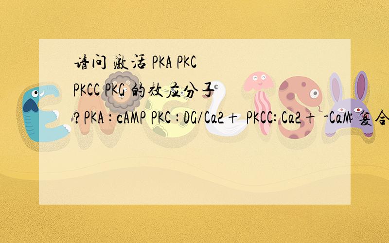 请问 激活 PKA PKC PKCC PKG 的效应分子?PKA : cAMP PKC : DG/Ca2+ PKCC: Ca2+ -CaM 复合体 PKG: cGMP 请问PKC和PKCC 的区别? 以上激活各蛋白激酶的效应分子写对了吗? 细胞周期蛋白与以上哪个激酶有联系? PKB在