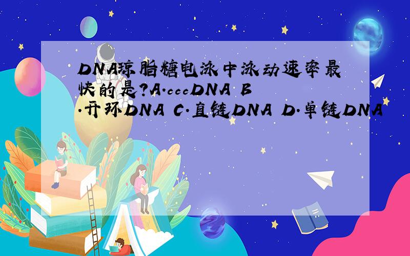 DNA琼脂糖电泳中泳动速率最快的是?A.cccDNA B.开环DNA C.直链DNA D.单链DNA