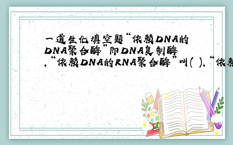 一道生化填空题“依赖DNA的DNA聚合酶”即DNA复制酶,“依赖DNA的RNA聚合酶”叫( ),“依赖RNA的DNA聚合酶”称（）.